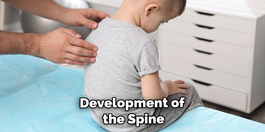 Development of the Spine