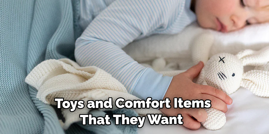 Toys and Comfort Items That They Want 