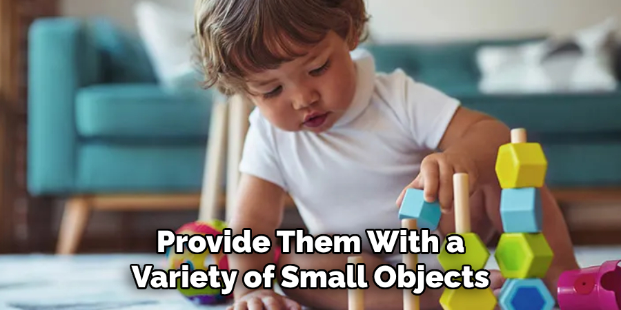 Provide Them With a Variety of Small Objects